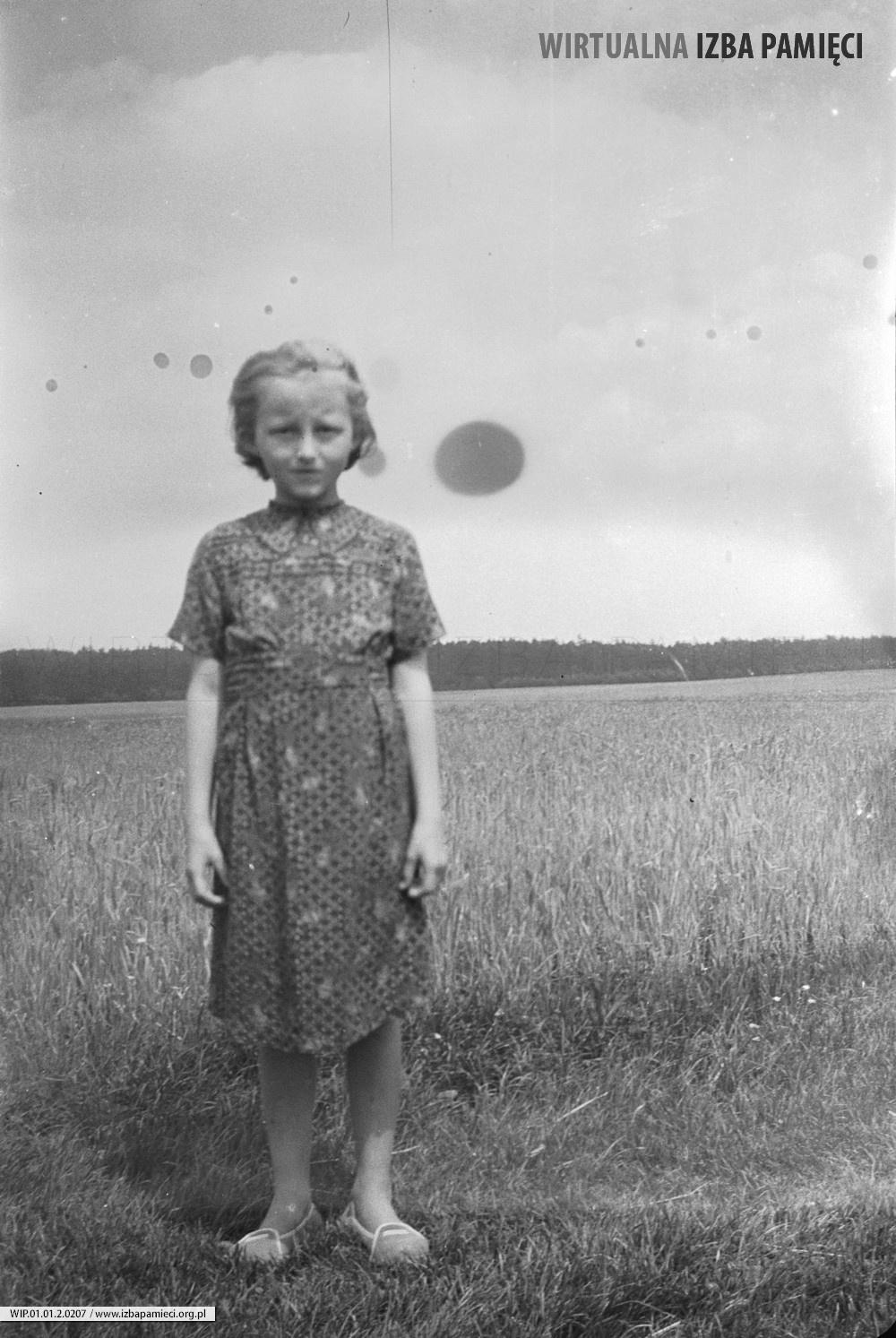 Lata 60. XX wieku. Portret dziewczynki na tle łanu zboża