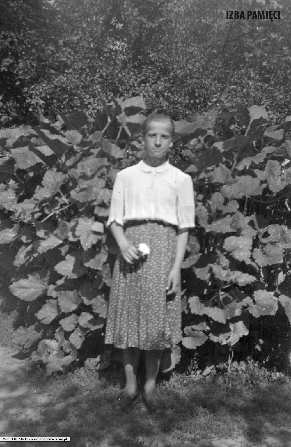 1962. Aniela Hubacz z białym kwiatkiem