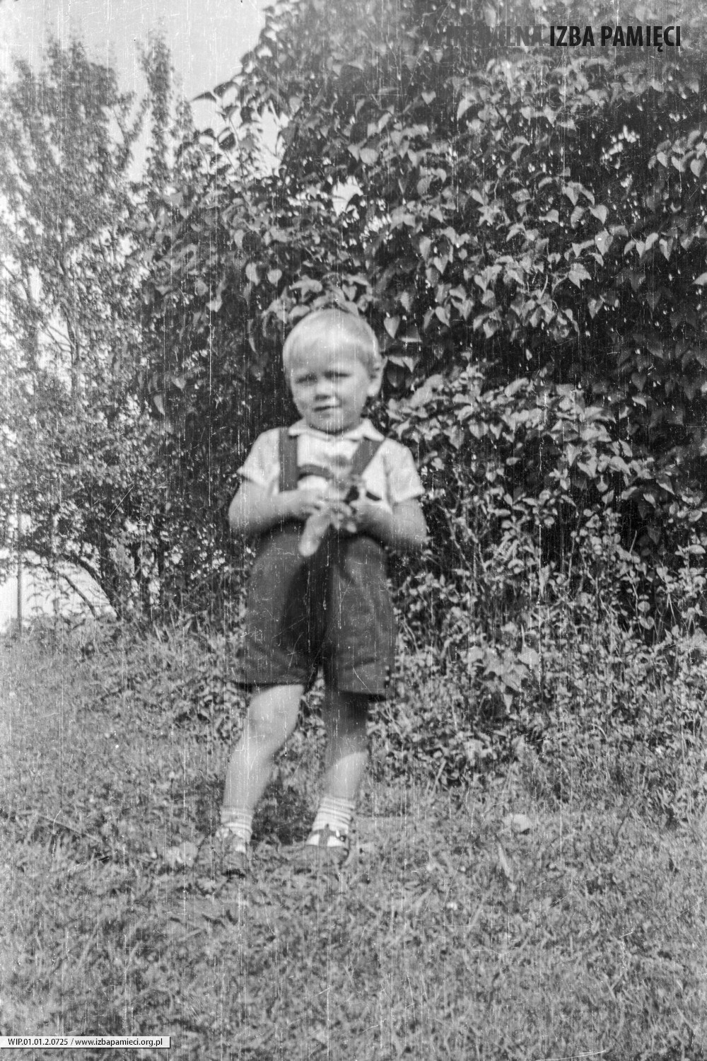 Lata 60. XX wieku. Mały chłopiec w krótkich spodenkach