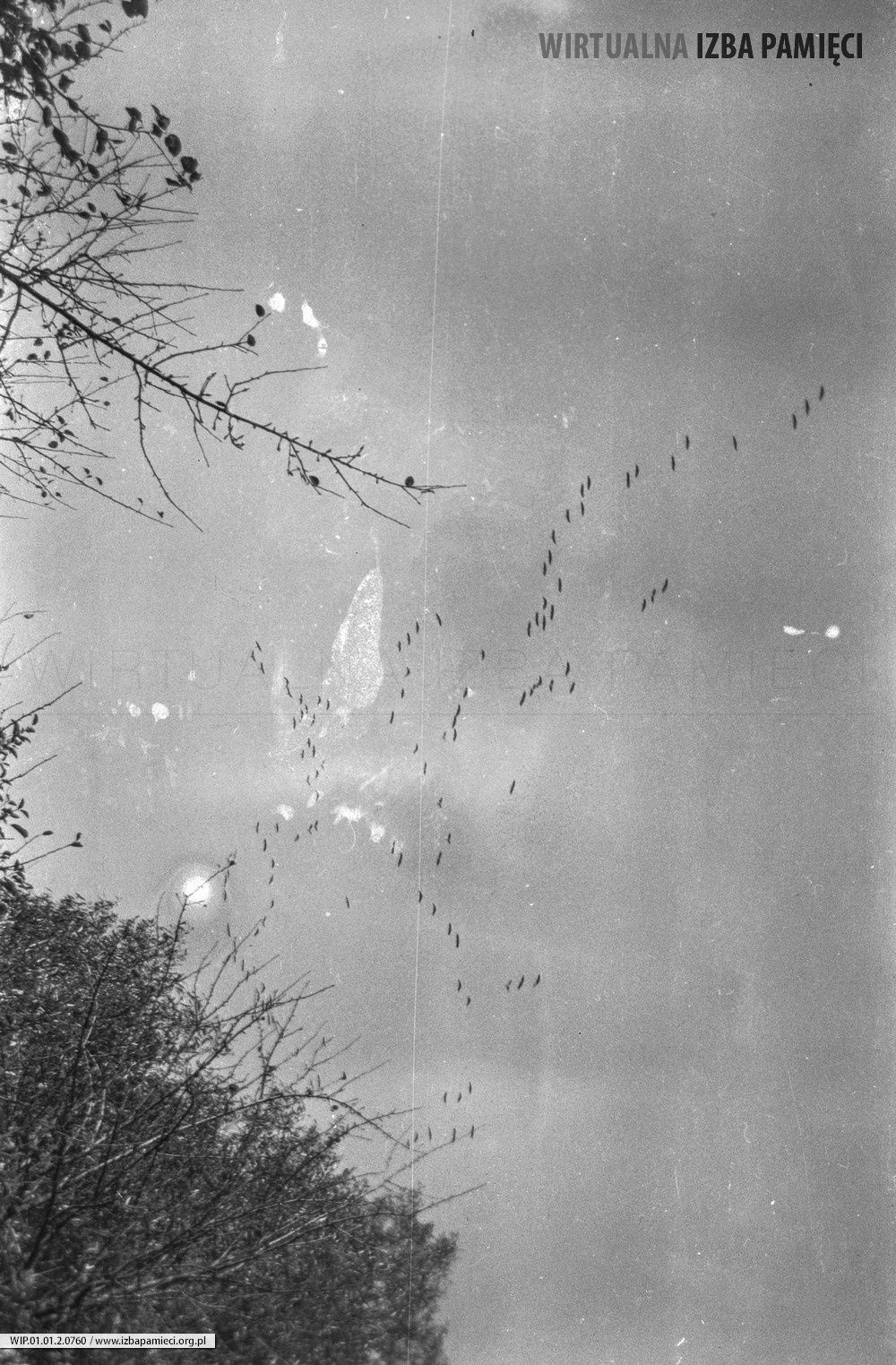 Lata 60. XX wieku. Żurawie lecące nad Mołodyczem