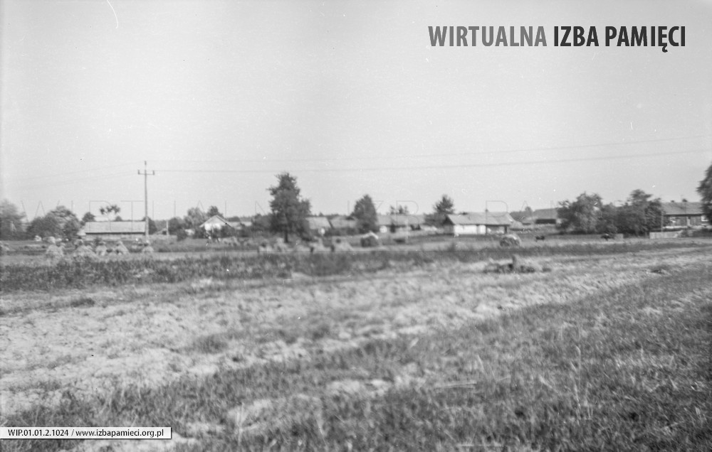 1980. Widok zabudowań wsi Mołodycz od strony wschodniej