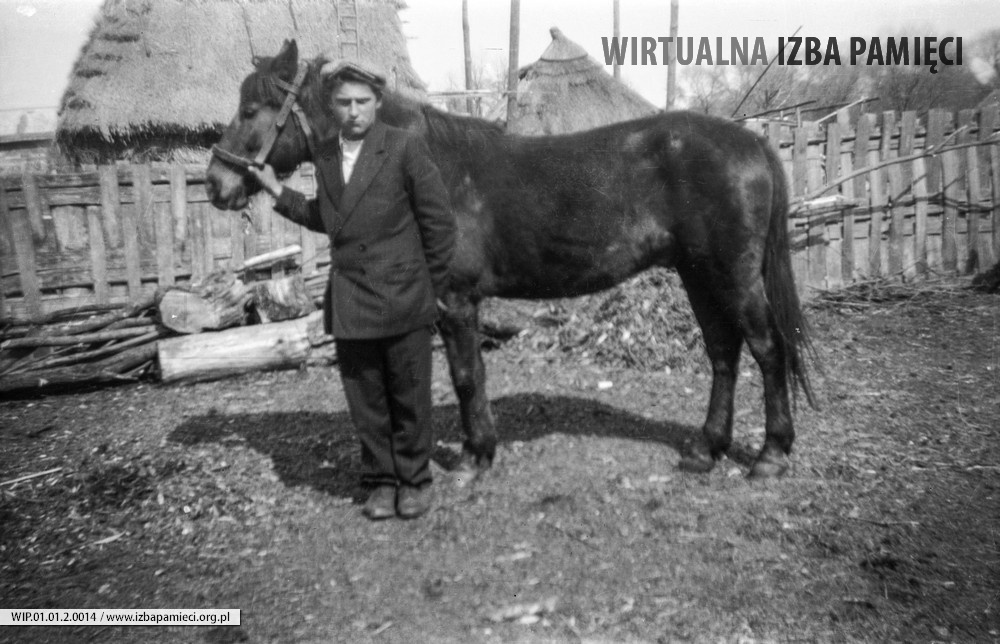 Lata 50. XX wieku. Andrzej Rokosz z koniem