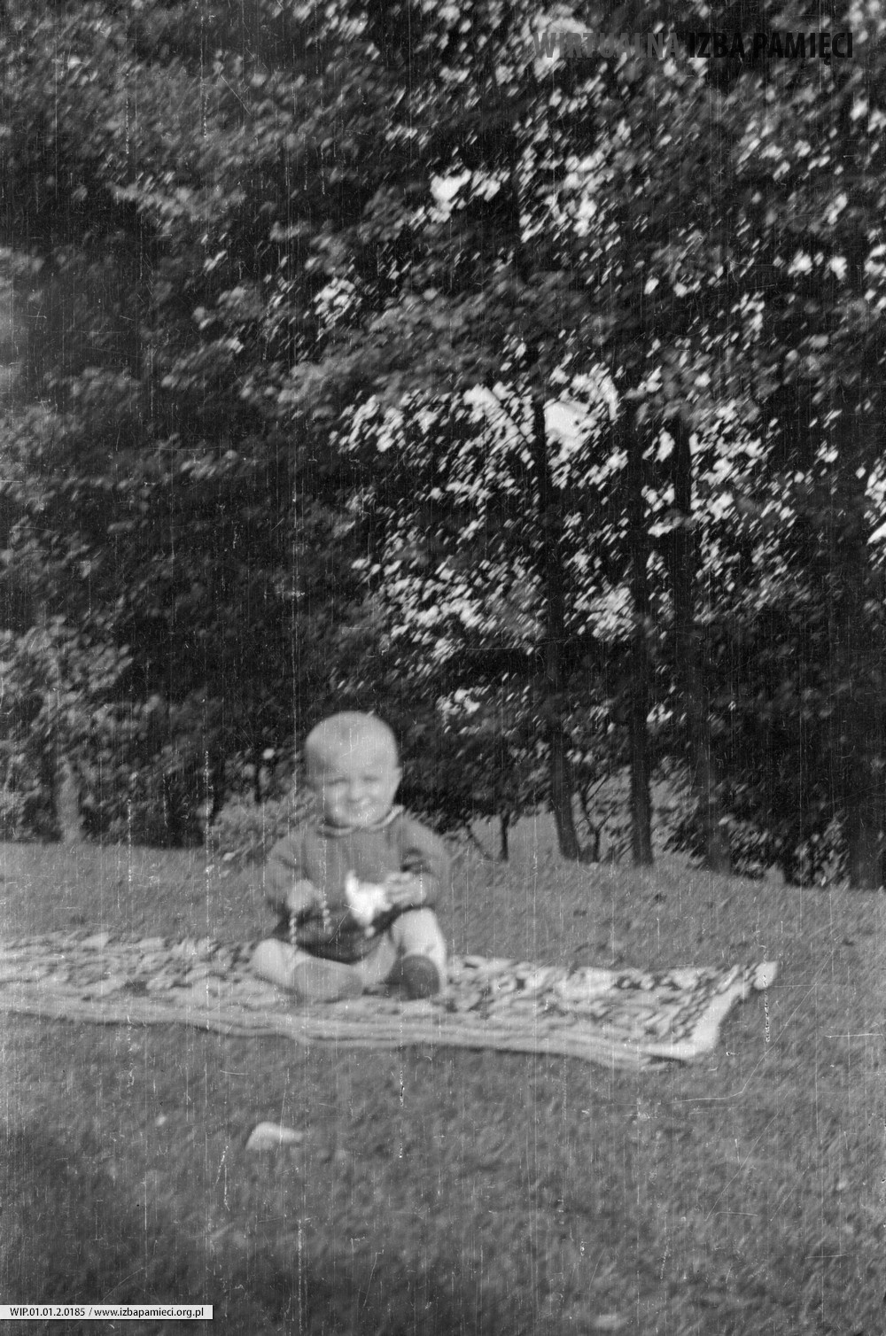 1966. Dziecko na kocu