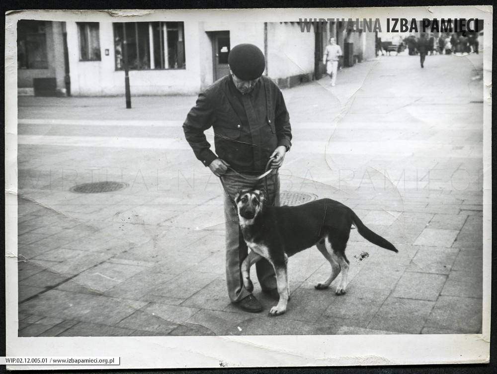 Lata 80. XX w. August Kruk na spacerze z psem. Legnica.