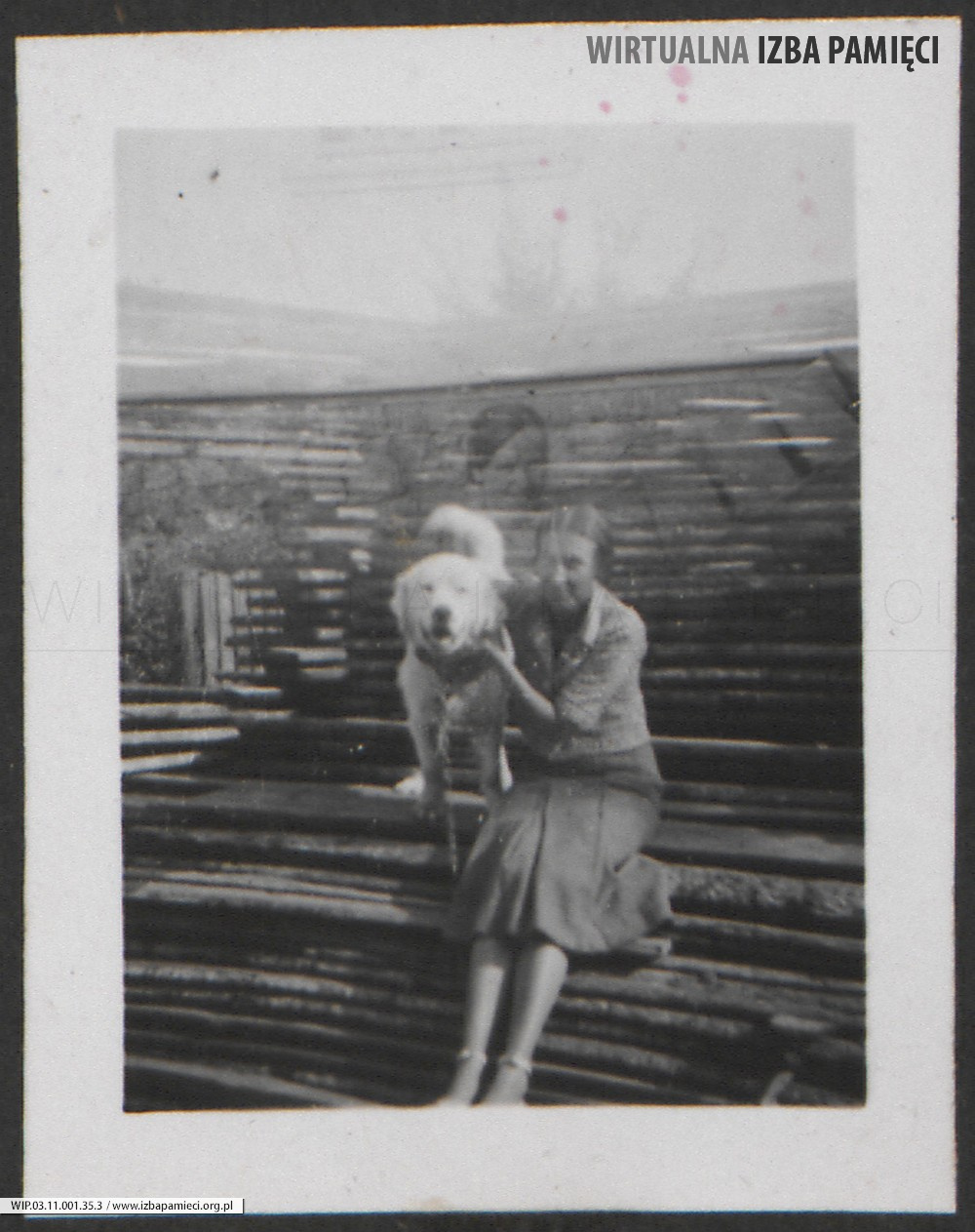 Lata 30. XX w. Maria Gutowska z psem.