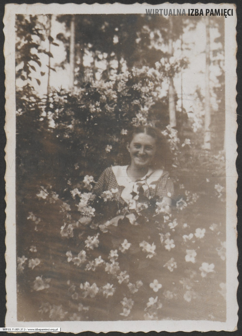 Lata 30. XX w. Fotografia kobiety wśród kwiatów.