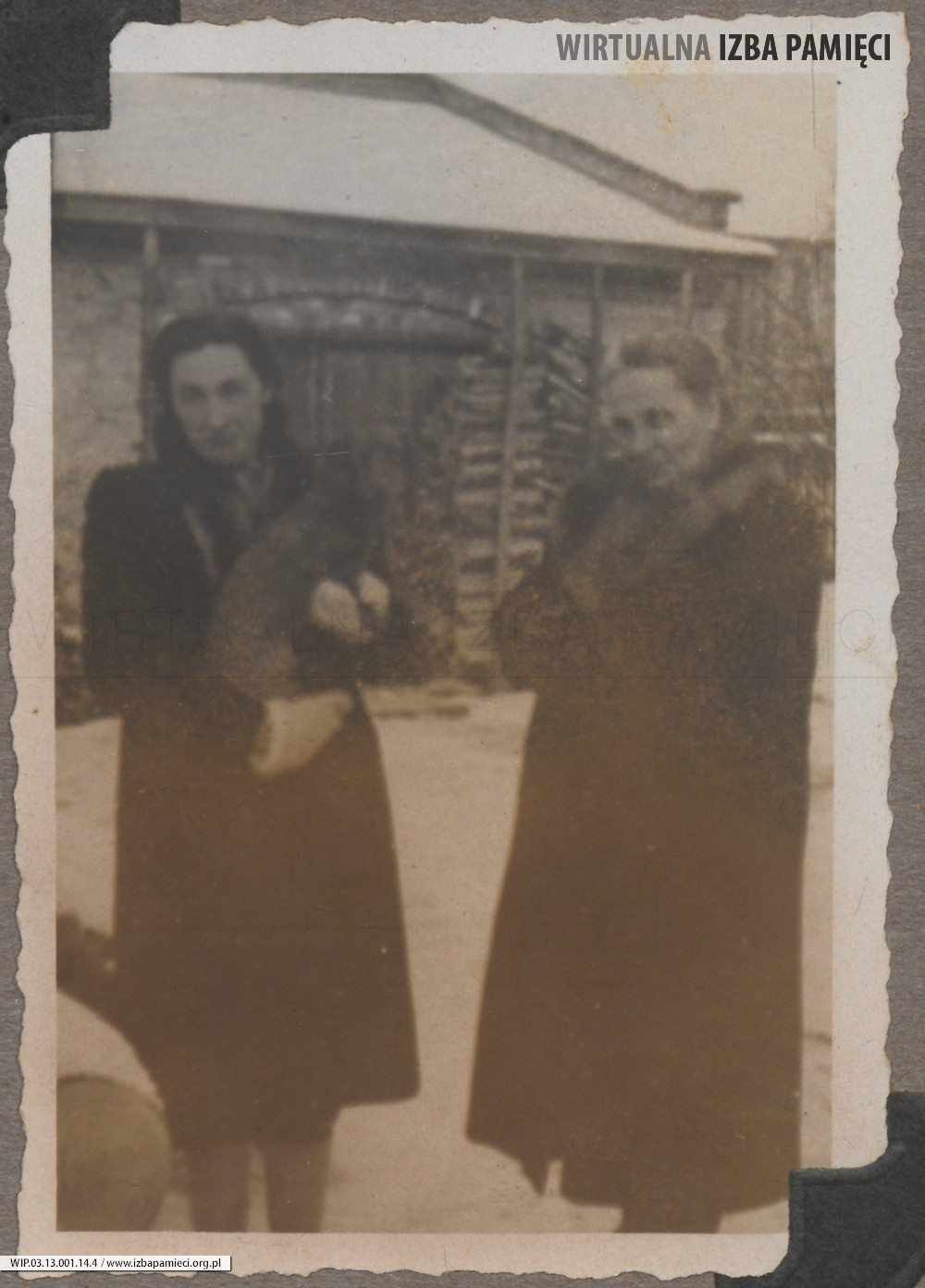 1948. Lubaczów. Maria Gutowska z psem i Józefa Ruebenbauer.