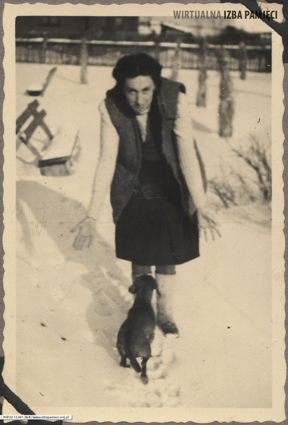 1948. Lubaczów. Maria Gutowska podczas zabawy z psem na śniegu.
