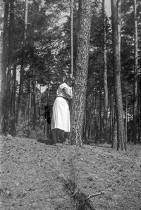 1956. Nauczycielka Zofia Drewniak przy sośnie