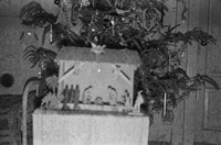1977. Szopka bożonarodzeniowa w domu rodziny Hubaczów