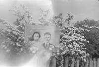 Lata 60. XX wieku. Portret ślubny Marii i Józefa Zagrobelnego z Mołodycza w kwiatach jaśminu