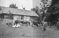 Lata 60. XX wieku. Mały pastuszek Staszek Hubacz z Mołodycza