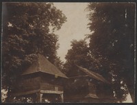 1911. Lubaczów. Budynek cerkwi wśród drzew.
