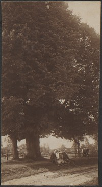 1910. Kulparków. Kruszyńscy w cieniu drzewa. Od lewej: Władysław Ruebenbauer, Józefa Kruszyńska, Helena Kruszyńska, Stanisław Kruszyński.