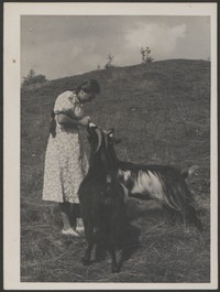 Lata 30. XX w. Kobieta karmiąca kozy.