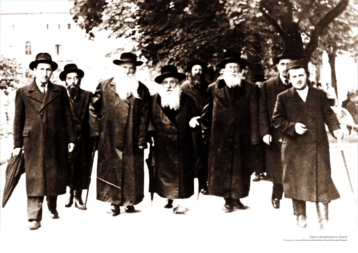 Grupa ortodoksyjnych Żydów
